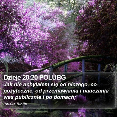 Dzieje 20:20 POLUBG Bible Verse Image