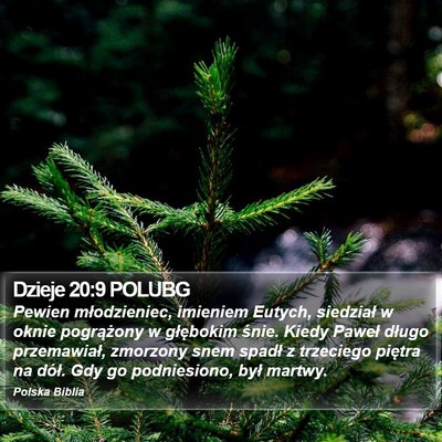 Dzieje 20:9 POLUBG Bible Verse Image