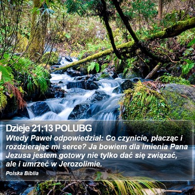 Dzieje 21:13 POLUBG Bible Verse Image
