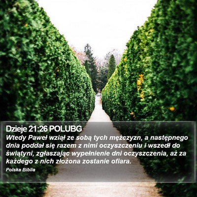 Dzieje 21:26 POLUBG Bible Verse Image