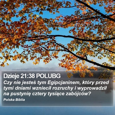Dzieje 21:38 POLUBG Bible Verse Image
