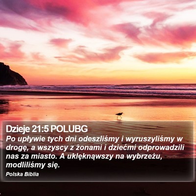 Dzieje 21:5 POLUBG Bible Verse Image