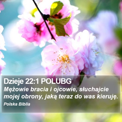 Dzieje 22:1 POLUBG Bible Verse Image