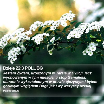 Dzieje 22:3 POLUBG Bible Verse Image