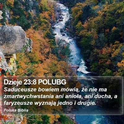 Dzieje 23:8 POLUBG Bible Verse Image