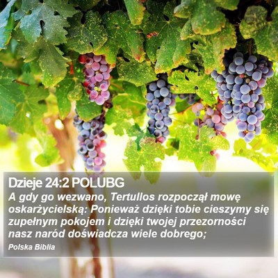Dzieje 24:2 POLUBG Bible Verse Image
