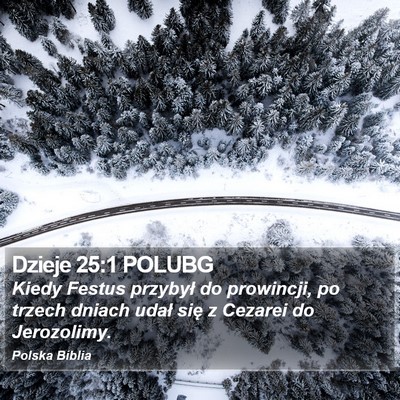 Dzieje 25:1 POLUBG Bible Verse Image