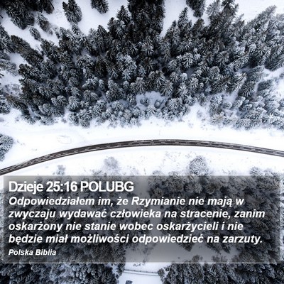Dzieje 25:16 POLUBG Bible Verse Image