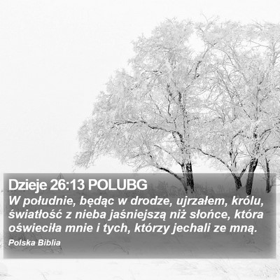 Dzieje 26:13 POLUBG Bible Verse Image