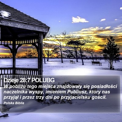 Dzieje 28:7 POLUBG Bible Verse Image