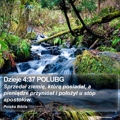Dzieje 4:37 POLUBG Bible Verse Image