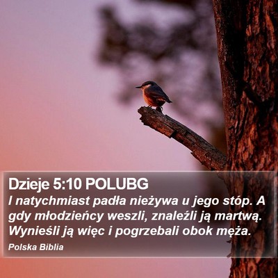 Dzieje 5:10 POLUBG Bible Verse Image
