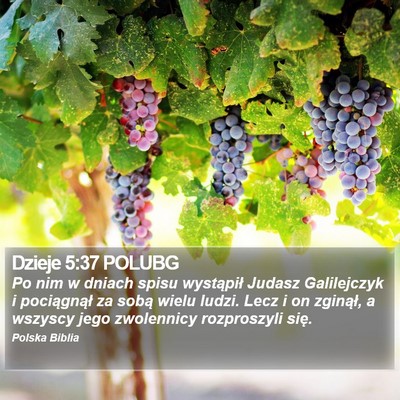Dzieje 5:37 POLUBG Bible Verse Image