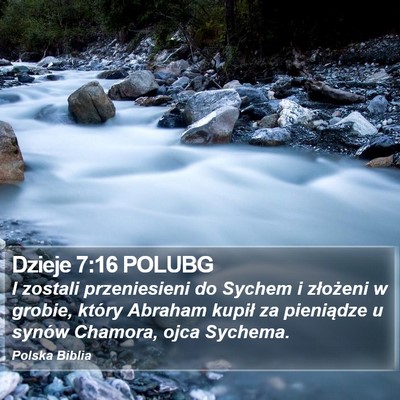 Dzieje 7:16 POLUBG Bible Verse Image