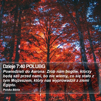 Dzieje 7:40 POLUBG Bible Verse Image