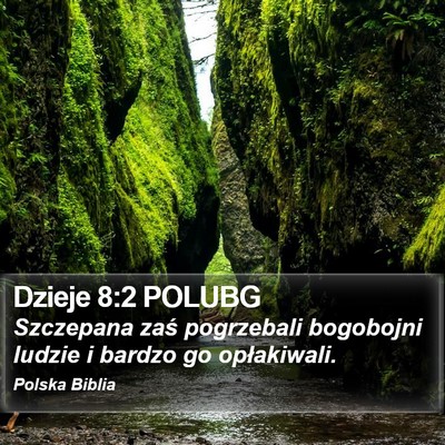 Dzieje 8:2 POLUBG Bible Verse Image