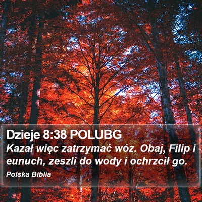 Dzieje 8:38 POLUBG Bible Verse Image