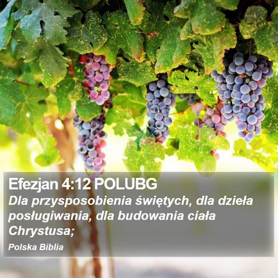Efezjan 4:12 POLUBG Bible Verse Image
