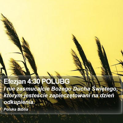 Efezjan 4:30 POLUBG Bible Verse Image
