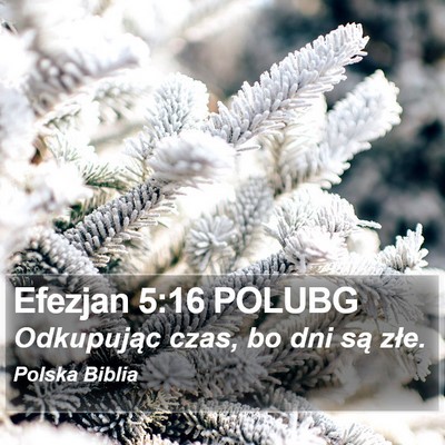 Efezjan 5:16 POLUBG Bible Verse Image