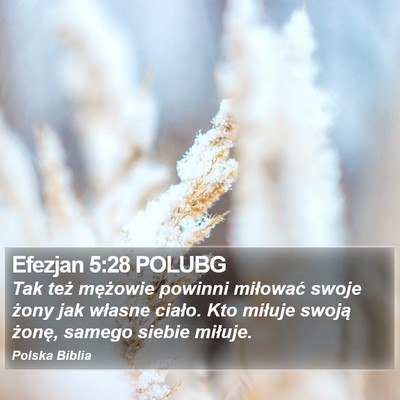 Efezjan 5:28 POLUBG Bible Verse Image