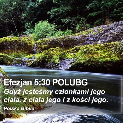 Efezjan 5:30 POLUBG Bible Verse Image