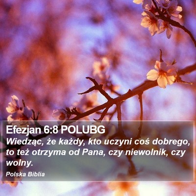 Efezjan 6:8 POLUBG Bible Verse Image