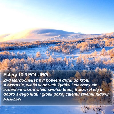 Estery 10:3 POLUBG Bible Verse Image