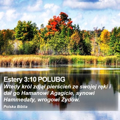 Estery 3:10 POLUBG Bible Verse Image
