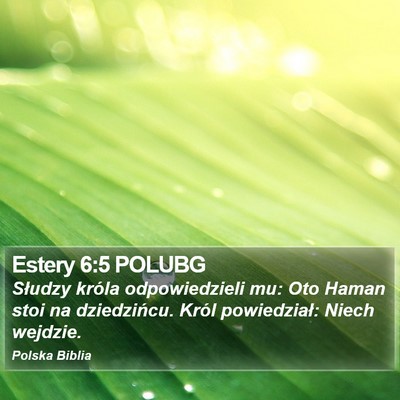 Estery 6:5 POLUBG Bible Verse Image