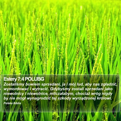 Estery 7:4 POLUBG Bible Verse Image