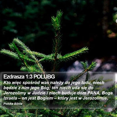 Ezdrasza 1:3 POLUBG Bible Verse Image
