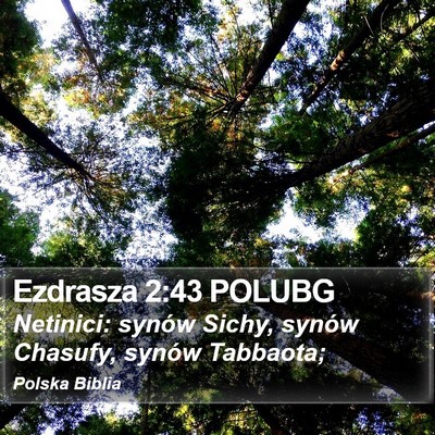 Ezdrasza 2:43 POLUBG Bible Verse Image