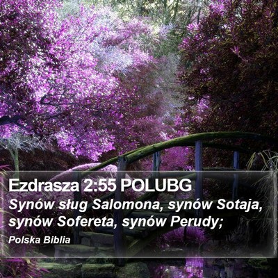 Ezdrasza 2:55 POLUBG Bible Verse Image
