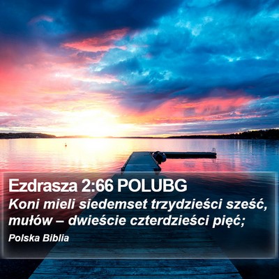 Ezdrasza 2:66 POLUBG Bible Verse Image