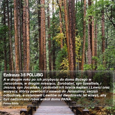 Ezdrasza 3:8 POLUBG Bible Verse Image