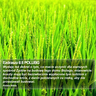 Ezdrasza 6:8 POLUBG Bible Verse Image