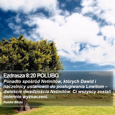 Ezdrasza 8:20 POLUBG Bible Verse Image