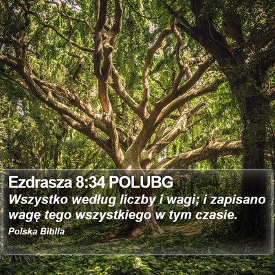 Ezdrasza 8:34 POLUBG Bible Verse Image