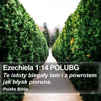 Ezechiela 1:14 POLUBG Bible Verse Image