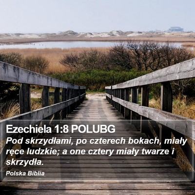 Ezechiela 1:8 POLUBG Bible Verse Image