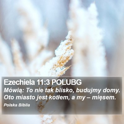 Ezechiela 11:3 POLUBG Bible Verse Image