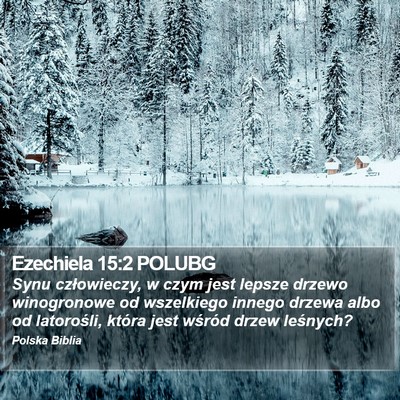 Ezechiela 15:2 POLUBG Bible Verse Image