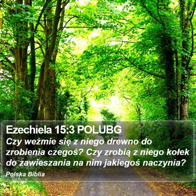 Ezechiela 15:3 POLUBG Bible Verse Image