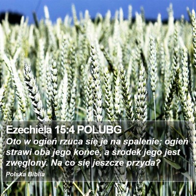 Ezechiela 15:4 POLUBG Bible Verse Image