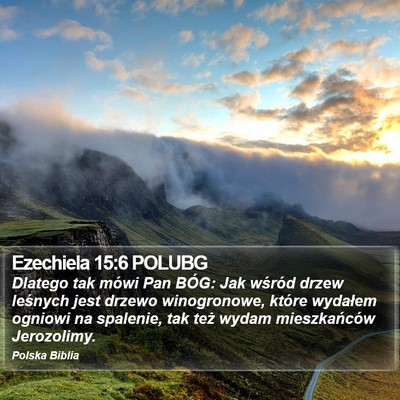 Ezechiela 15:6 POLUBG Bible Verse Image