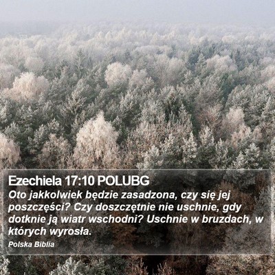 Ezechiela 17:10 POLUBG Bible Verse Image