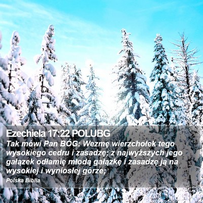 Ezechiela 17:22 POLUBG Bible Verse Image