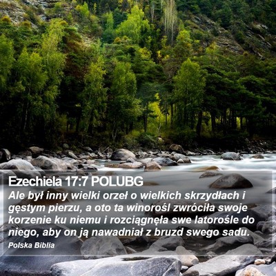 Ezechiela 17:7 POLUBG Bible Verse Image