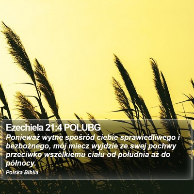Ezechiela 21:4 POLUBG Bible Verse Image